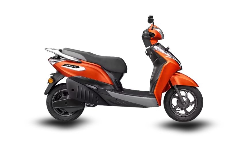 Royal Orange